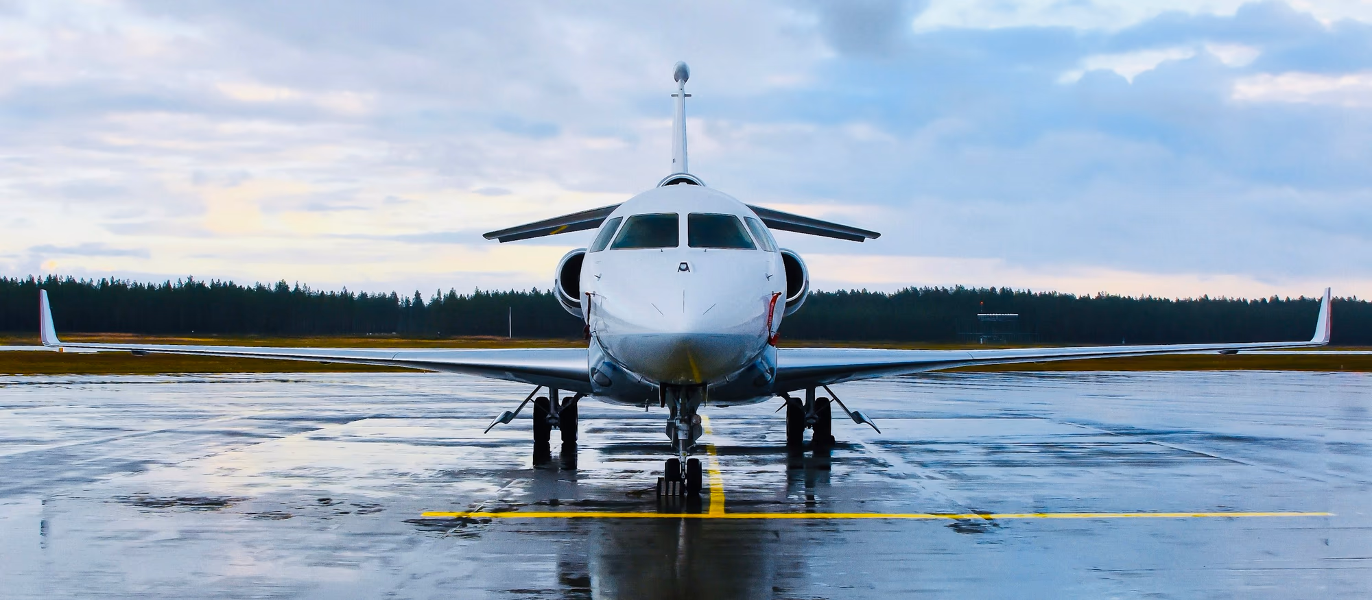 A Dassault Falcon private jet at rest on wet tarmac after rain, conifer forest behind under an overcast sky
