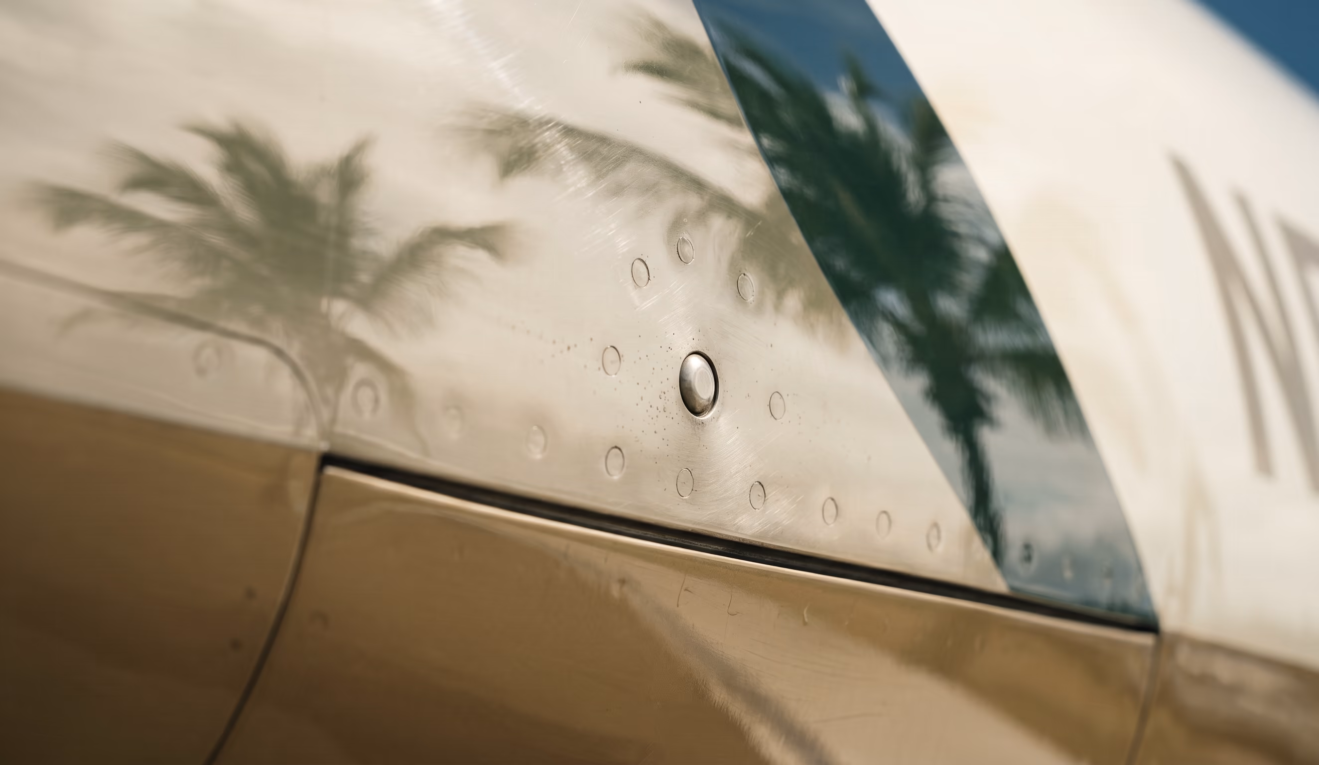 Close-up of a polished aircraft fuselage with palm canopy reflections in the metal